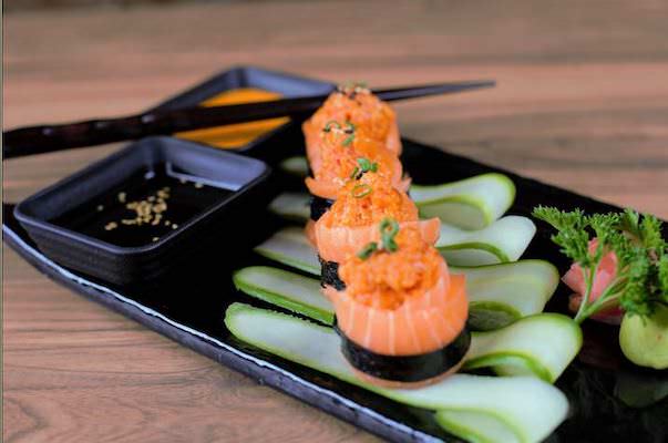 Salmon Battleship
